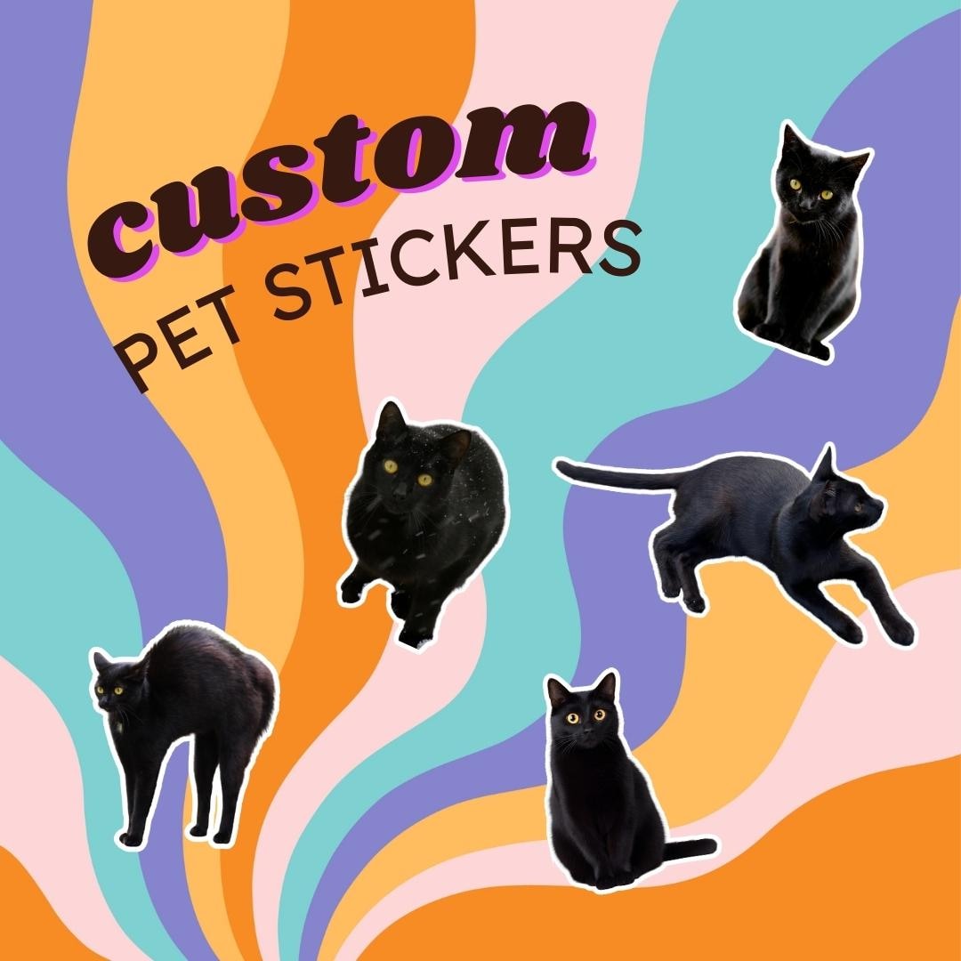 Pwet Sticker Custom Pet Stickers • Die Cut Photo Stickers • Personalized Gift - Etsy