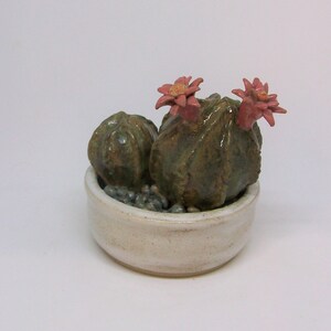 May include: A small ceramic cactus plant with two pink flowers in a white ceramic pot. The cactus is green and has a textured surface.
