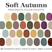 Soft Autumn Procreate Color Palette: 30 Warm Tones (digital Download ...