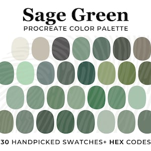 Sage Green Color Palette: 30 Procreate Swatches with HEX Codes