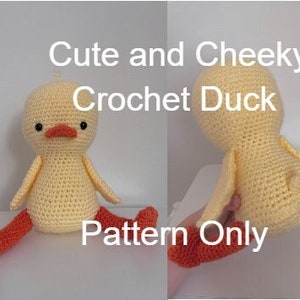 Cute and Cheeky Crochet Duck