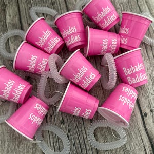 12  Pink Shot Cups with Bracelets, 2 Ounce Shot Cups with Wristlet, Bracelet Keychain, 12 Personalized Shot Cups, Bachelorette Party