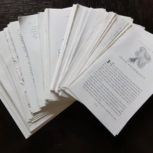 May include: A stack of white pages with text, fanned out to reveal a page with the title "Chapter Eight: Snape Victorious".