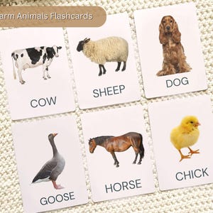 ANIMALI DA FATTORIA, 24 carte Montessori, nomenclatura delle flashcard, schede stampabili in formato PDF, giocattoli per la scuola materna