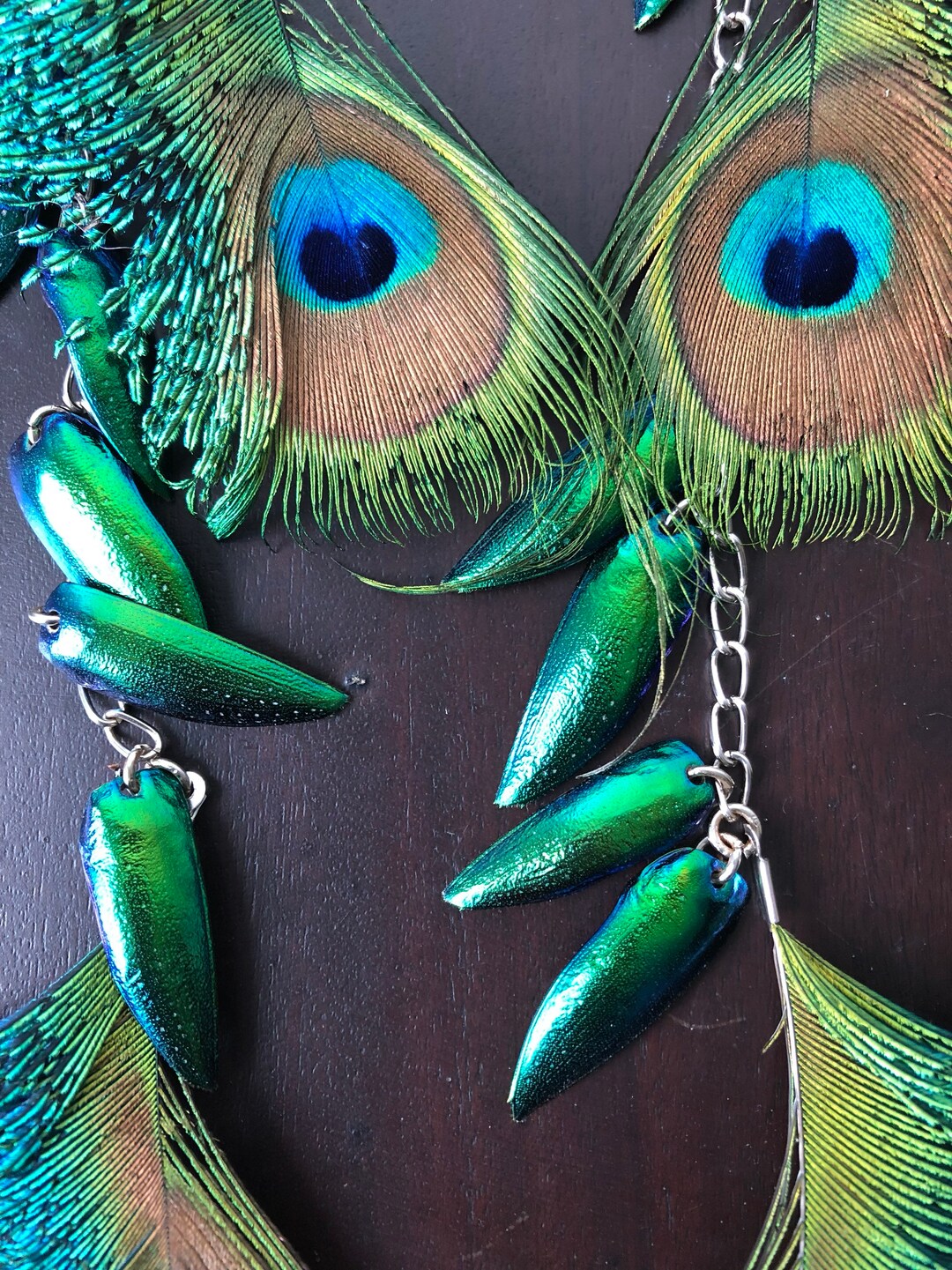 100 Cruelty Free Peacock Feathers. Hand Made Peacock Earrings Etsy