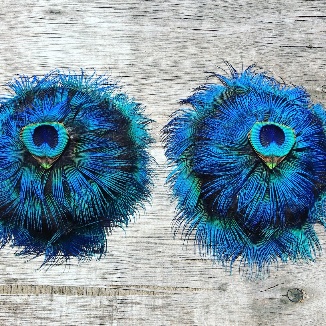 100 Cruelty free peacock feather nipple pasties Etsy