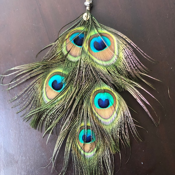 Real Peacock Feather Etsy