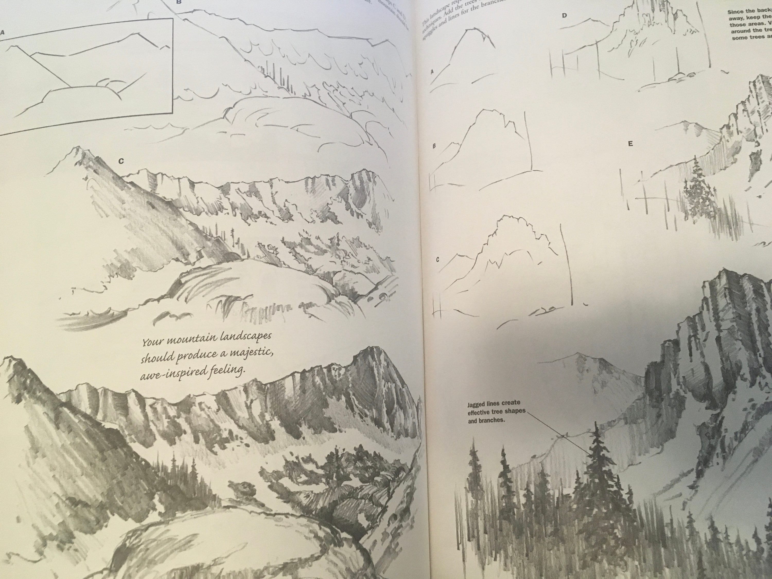 Walter Foster - How to Draw and Paint Books - 5 Books - Roses and ...