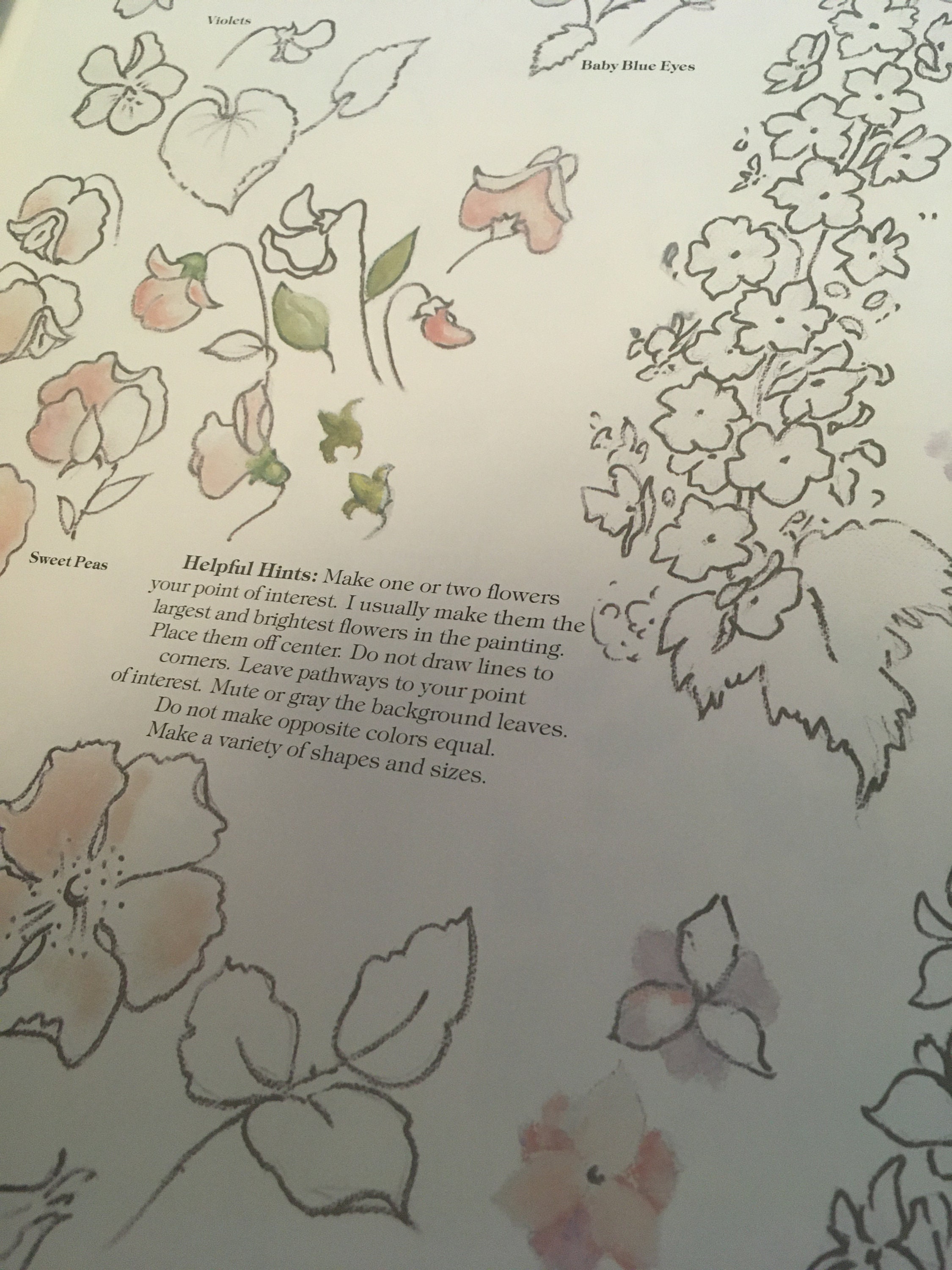 Walter Foster - How to Draw and Paint Books - 5 Books - Roses and ...