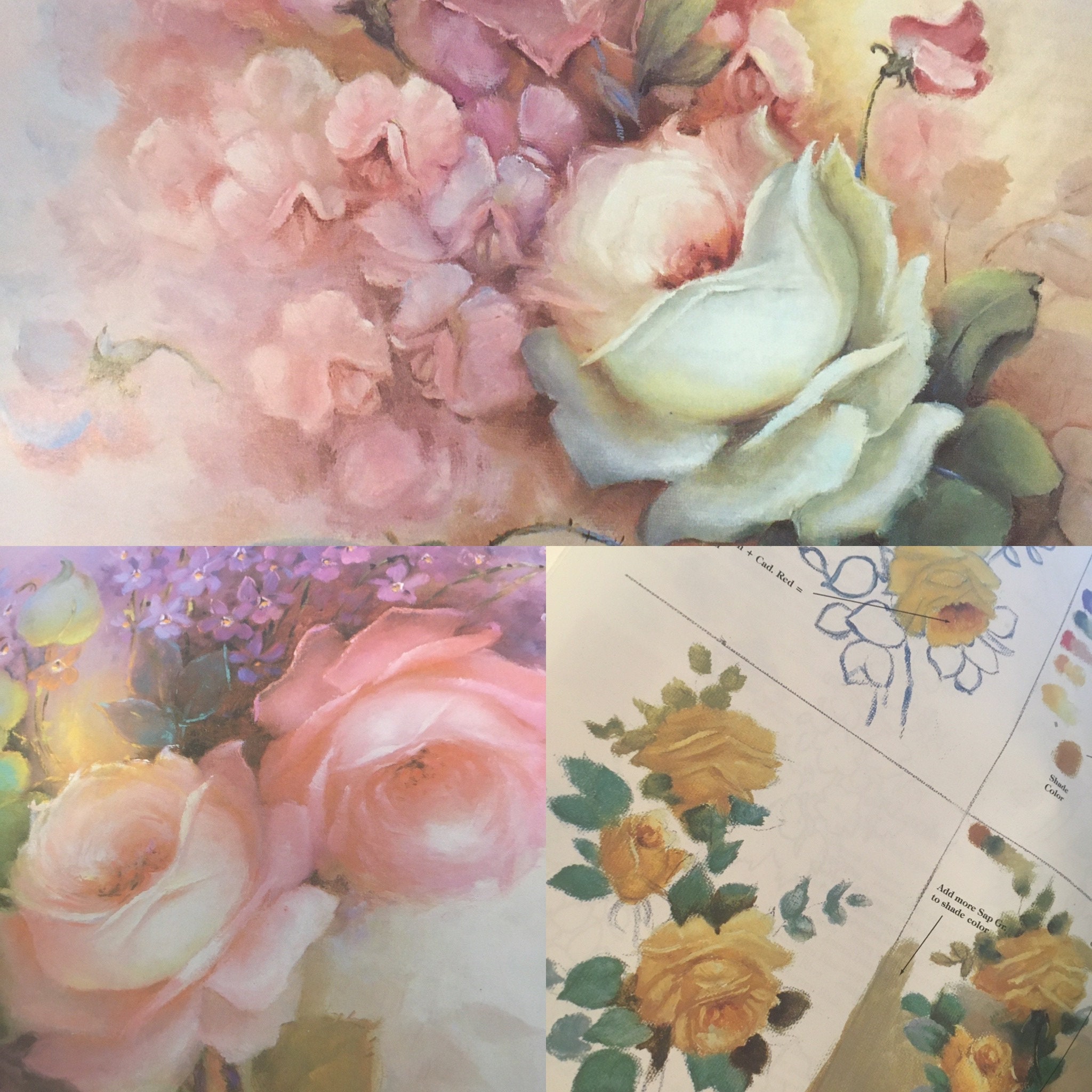 Walter Foster How to Draw and Paint Books 5 Books Roses Etsy Australia