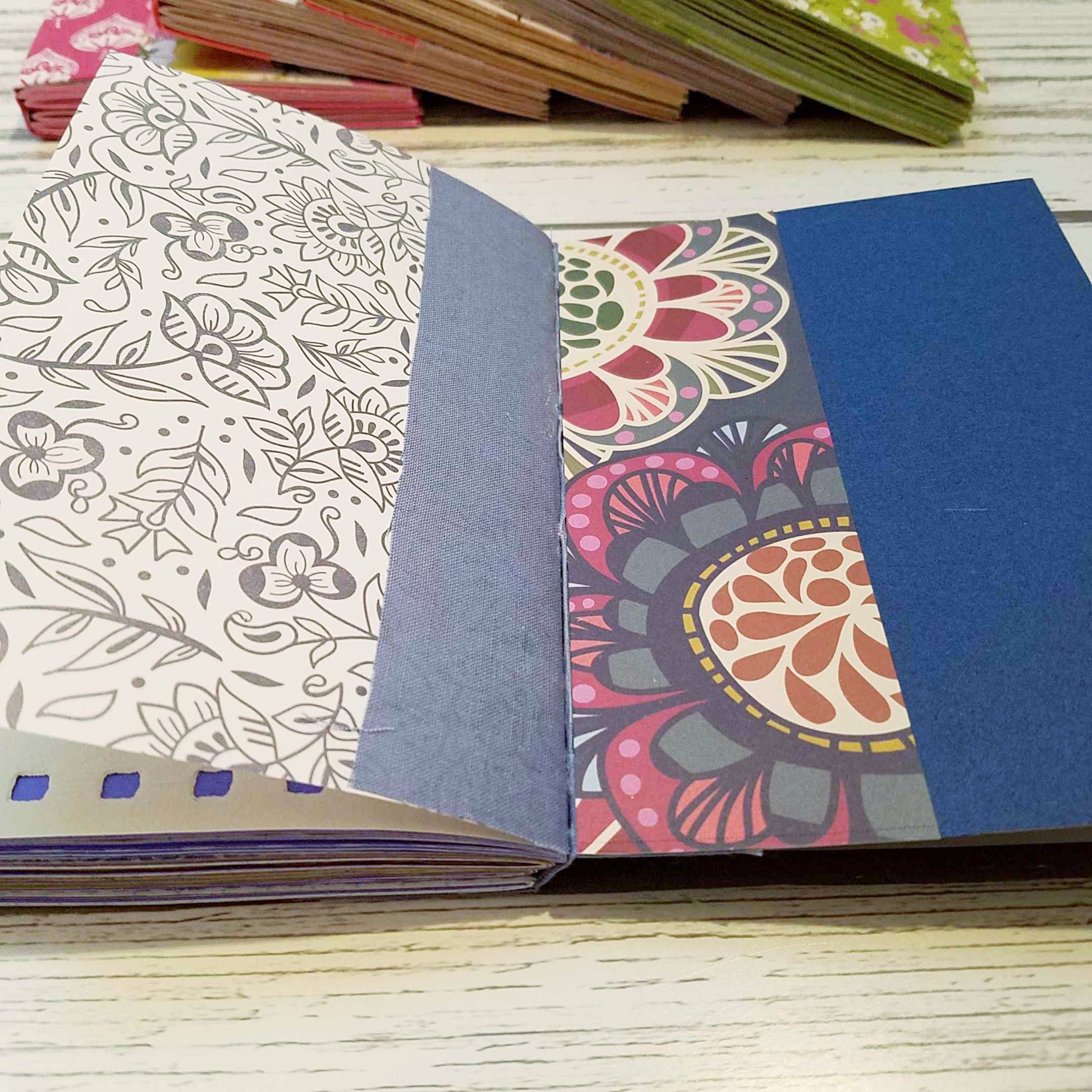 Blue diary essay 05 picture