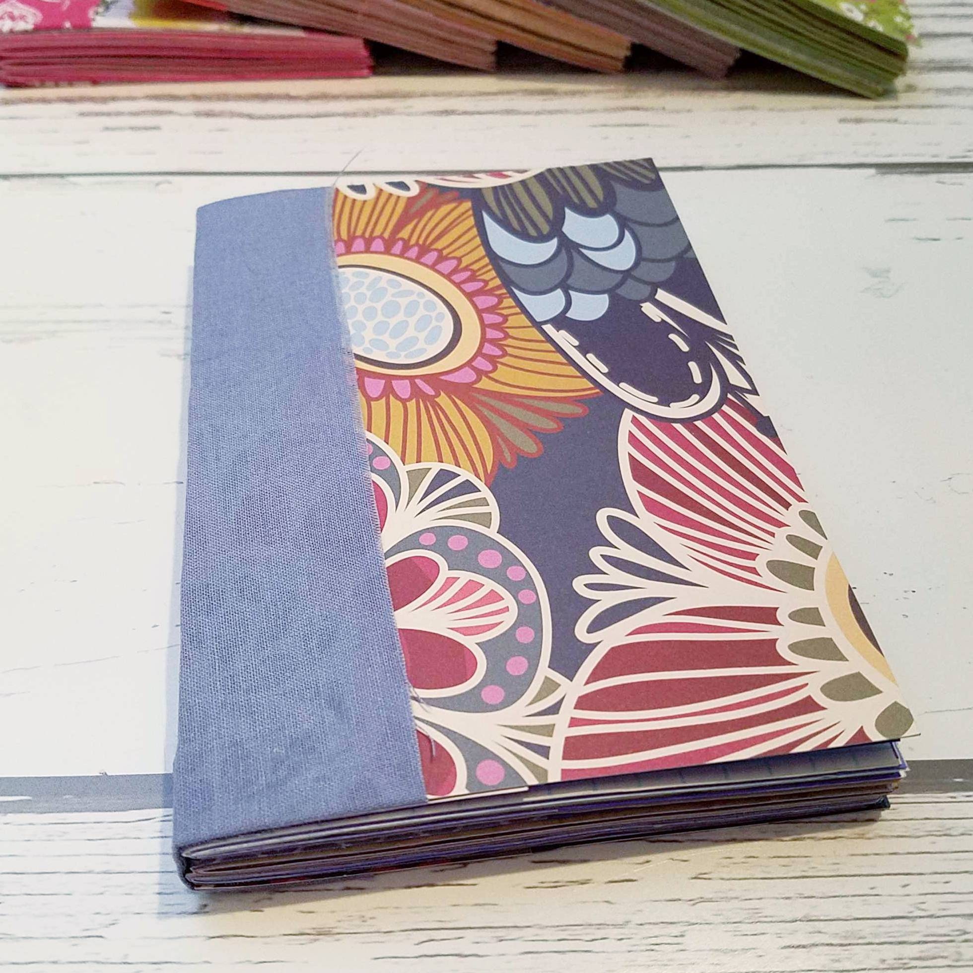 Blue diary essay 03 picture