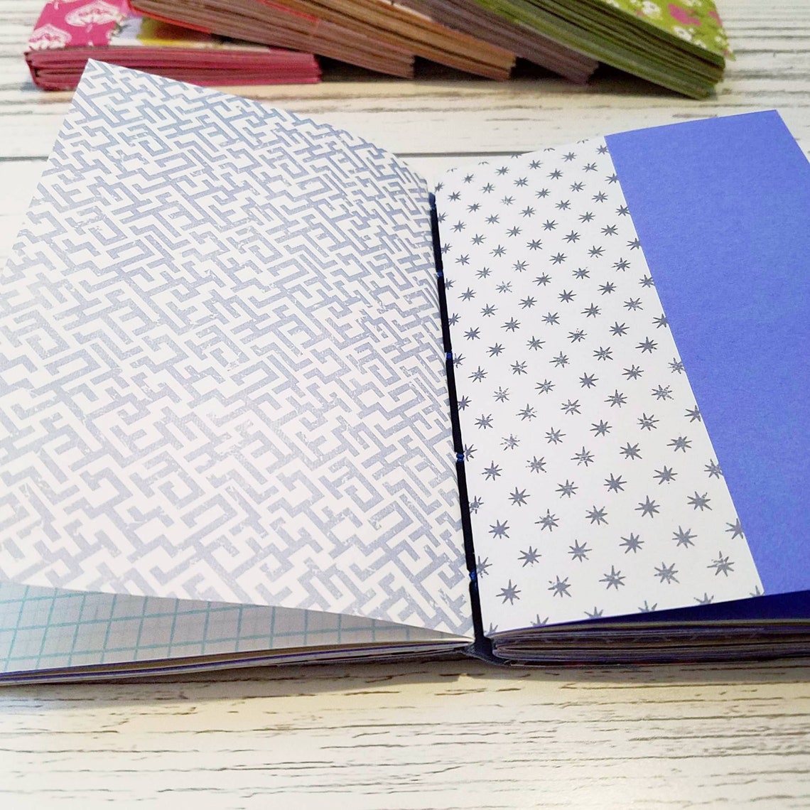 Blue diary essay 04 picture