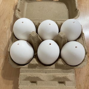 May include: A carton of six white eggs in a cardboard egg carton.