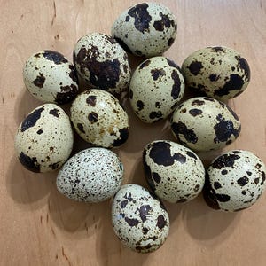 May include: A collection of speckled quail eggs. The eggs have a creamy white base color with irregular brown and black spots. They are arranged on a light brown wooden surface.