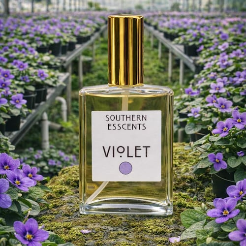 Violet Perfume: Fresh Floral Essential Oil Fragrance - 2oz/60ml - Etsy
