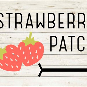 Strawberry Patch SVG Cricut cut file