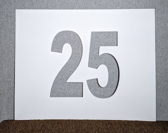 NUMBER PICTURE MAT For Photos and Signatures Birthdays Graduation Weddings 16x20