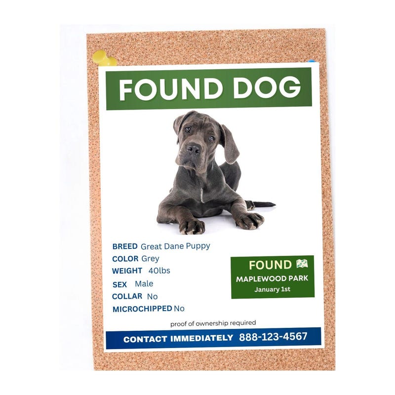 Found Sign Sticker Printable Lost and Found Sign - Etsy