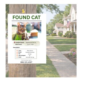 Found Cat Flyer Template | Editable Pet Poster (Canva, US Letter Size)