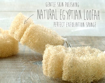 NATURAL EGYPTIAN LOOFAH • Vegan Exfoliating luffa sponge, skin polishing loofah, organic skincare, bath n beauty, elixirium scrubbing sponge