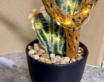 Cholla Cactus Lamp: Saguaro Skeleton Wood, Desert Decor - Etsy