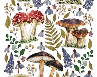 Watercolour Mushroom Art Print-gift, wall art, wild mushrooms, fungi, Mushrooms Canvas Paintings, hand drawn