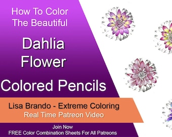 How To Color Beautiful Dahlia Flowers With Prismacolor Colored Pencils Real Time Tutorial Video Lisa Brando Extreme Coloring