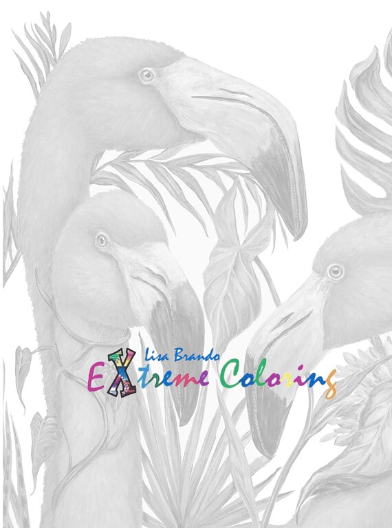 Flamingo Coloring Page Greyscale Printable Instant Download Etsy