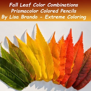 Fall Leaf Color Combinations Using Prismacolor Colored Pencils - Worksheet And Blank Template - Lisa Brando - Extreme Coloring