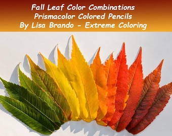 Fall Leaf Color Combinations Using Prismacolor Colored Pencils - Worksheet And Blank Template - Lisa Brando - Extreme Coloring