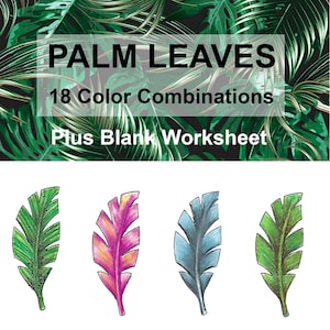 Puede incluir: Imagen con el texto "PALM LEAVES" y "18 Color Combinations Plus Blank Worksheet". Debajo, cuatro ilustraciones coloridas de hojas de palma en verde, rosa, azul y verde. El fondo es un patrón de hojas tropicales verde oscuro y negro.