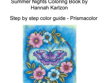 Cómo coloreé la mariposa Hanna Karlzon Noches de Verano Libro para colorear Lisa Brando Extreme Coloring Guía para colorear paso a paso