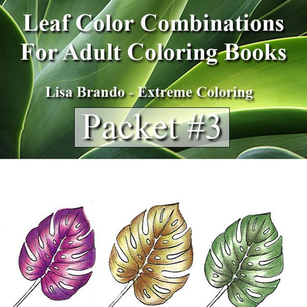 Leaf Color Combinations Packet #3 For Coloring Book Color Ideas Lisa Brando Extreme Coloring Colored Pencils Worksheet
