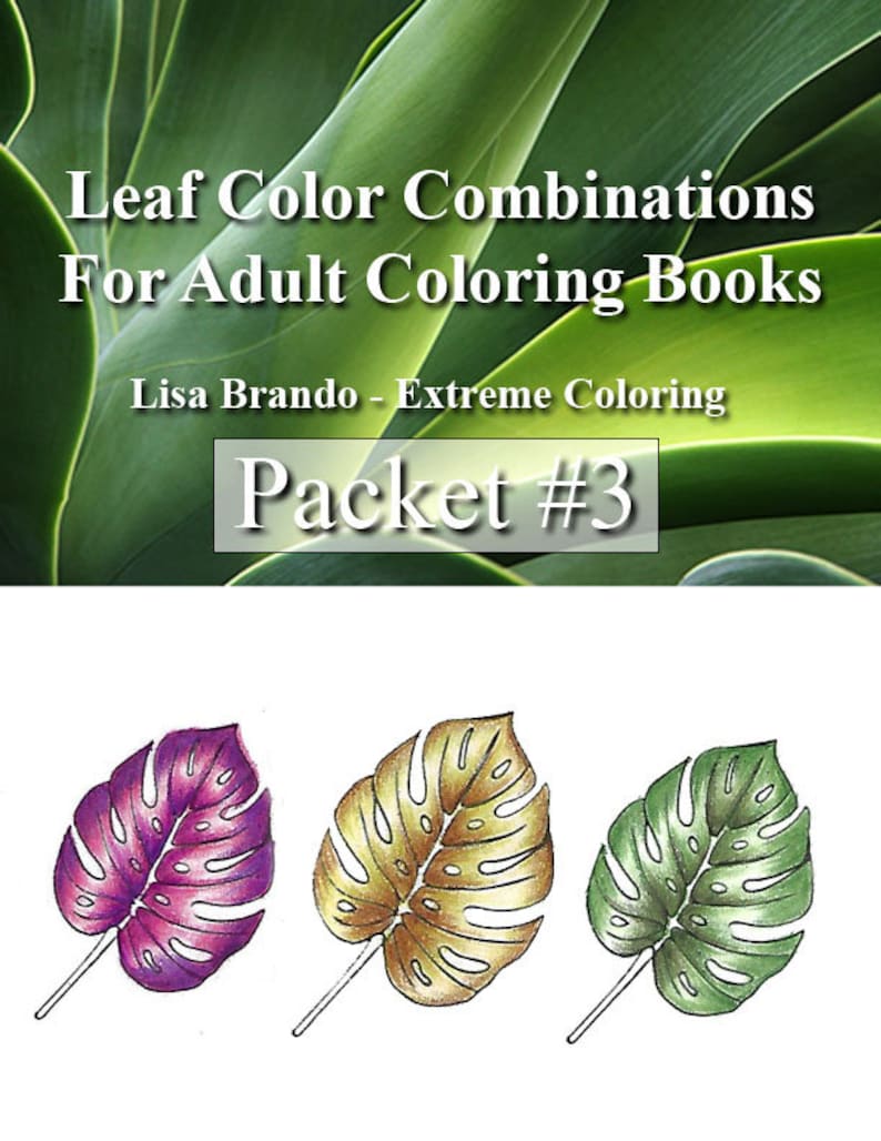 Leaf Color Combinations Packet 3 for Coloring Book Color Etsy