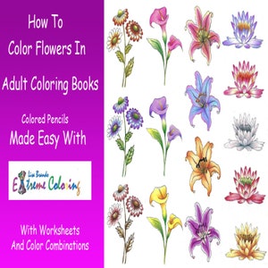 How To Color Flowers In Adult Coloring Books - Worksheets