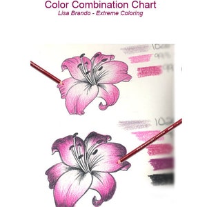 Może przedstawiać: Rysunek dwóch lilii w kolorze różowym i białym. Obraz przedstawia tabelę kombinacji kolorów dla lilii, z tekstem "Lilies Color Combination Chart Lisa Brando - Extreme Coloring".