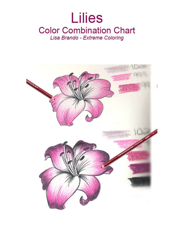 Lilies Color Combination Chart How To Color Lilys Lisa Etsy