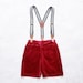 Aubergine Velvet Boy Shorts