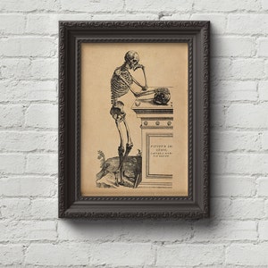 May include: A black and white vintage anatomical illustration of a skeleton sitting and thinking. The skeleton is holding a skull in its hand. The text on the image reads "VIVITVR IN. GENIO. CAETERA MOR. TIS ERUNT."