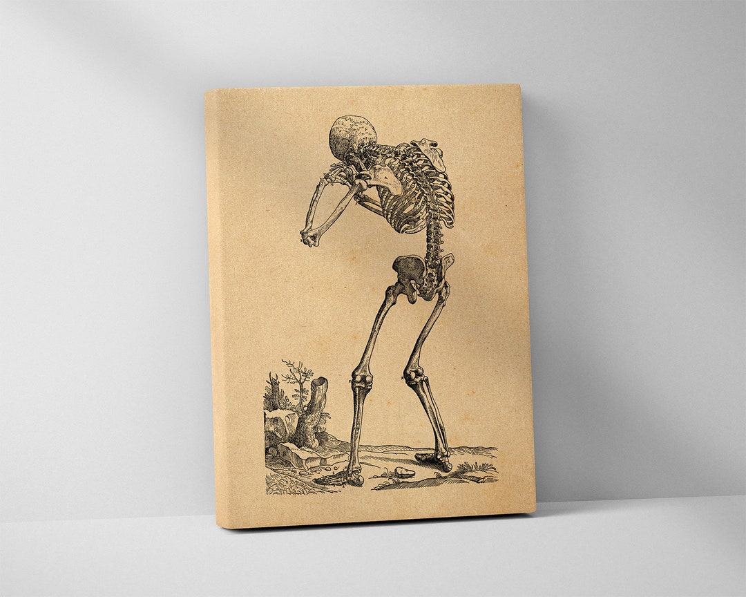 Skeleton Praying - Andreas Vesalius Stretched Canvas Print, Anatomy Art ...