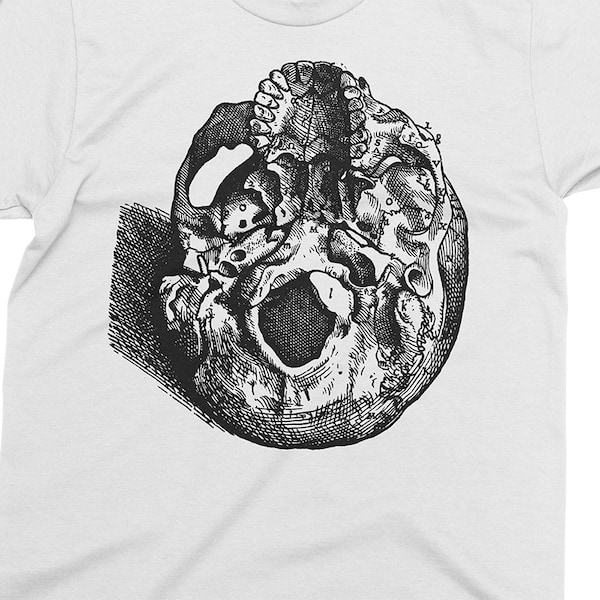 Human Skull 2 - Andreas Vesalius T-shirt, Gift for Medical student, Gift for Doctor, Anathomy shirt, 16th century, Great Gift