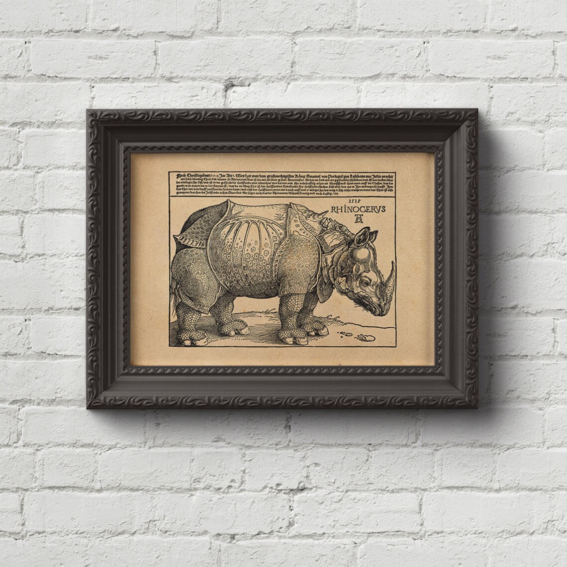 The Rhinoceros Albrecht Durer Print Wall Art Woodcut Etsy