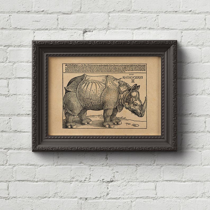The Rhinoceros Albrecht Durer Print Wall Art Woodcut | Etsy