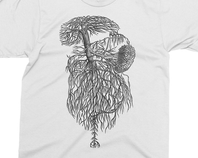 16th century Andreas Vesalius T-shirt Gift for Doctor Gift for Medical student Deliniation of Portal Vein Great Gift Anathomy shirt