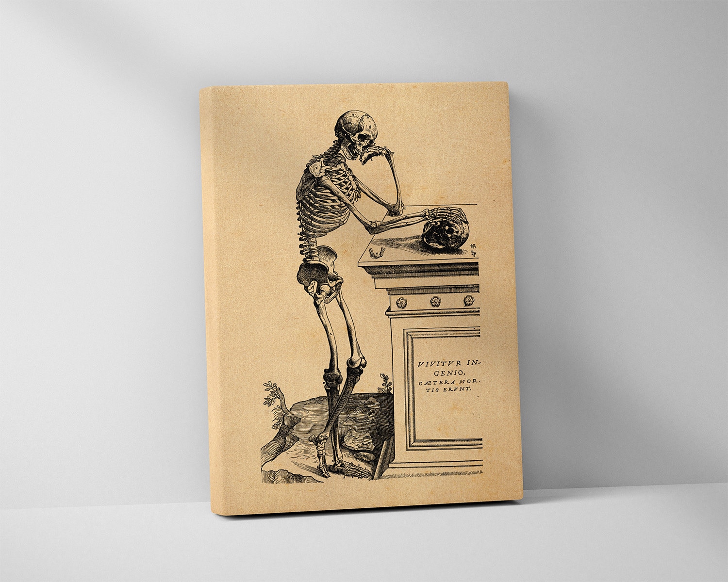 Skeleton Thinking - Andreas Vesalius Stretched Canvas Print, Anatomy ...