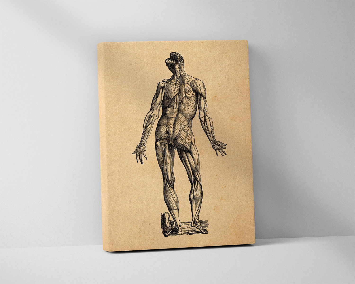 美術大学の先生による手作りの油絵 ￥5K-200K - 11 の有名なデューラーの, image size:1500x1200