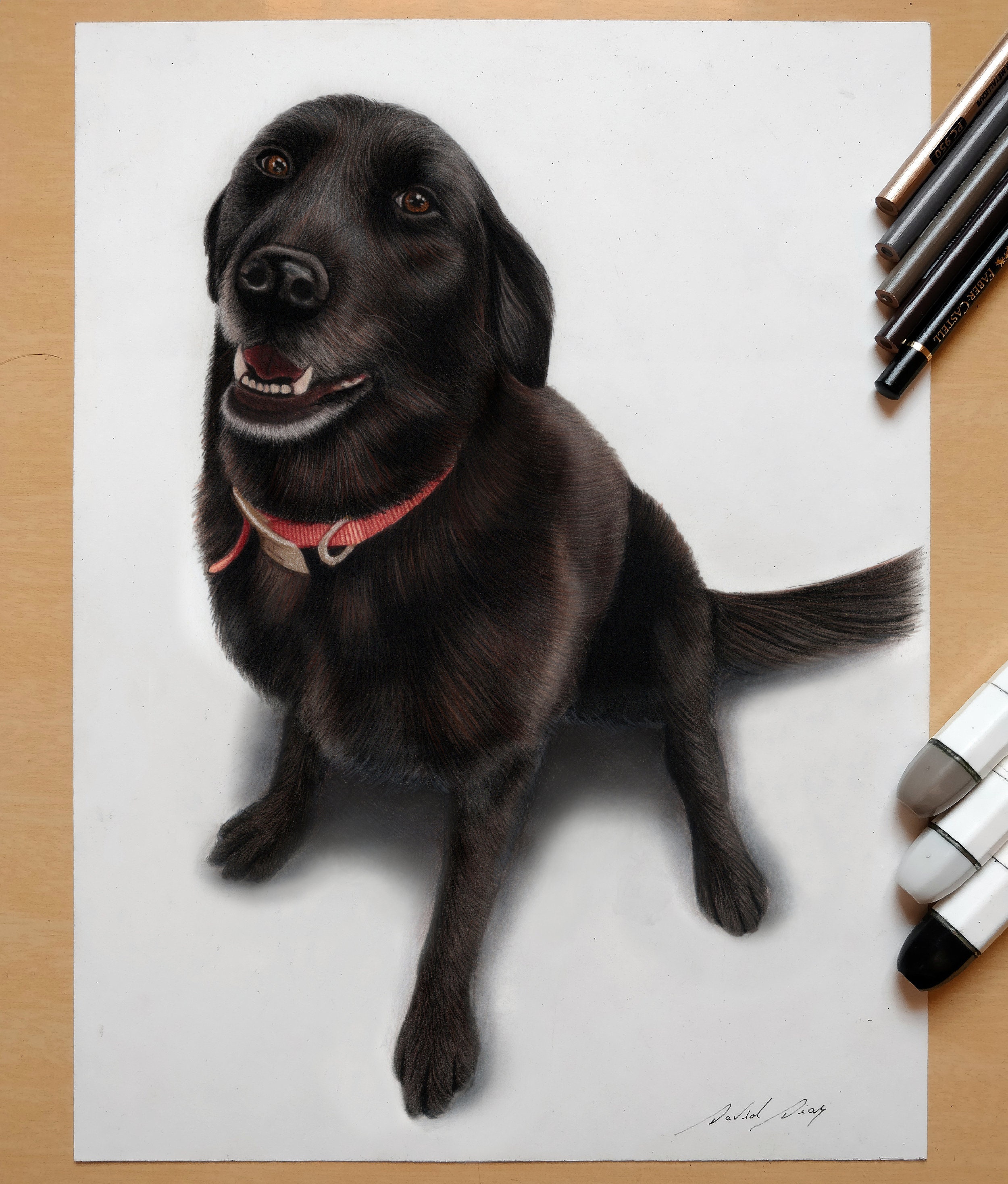 Custom Realistic Pet Portrait Etsy