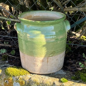 May include: A large, two-toned ceramic planter with a light green upper section and a beige lower section. The planter has two small handles and horizontal ridges around the top. The planter is sitting on a stone wall.