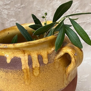 Puede incluir: Una olla de cerámica rústica hecha a mano con un esmalte amarillo y marrón. La olla tiene un asa y está llena de ramas de olivo verdes. El diseño de la olla tiene un efecto de esmalte goteado.